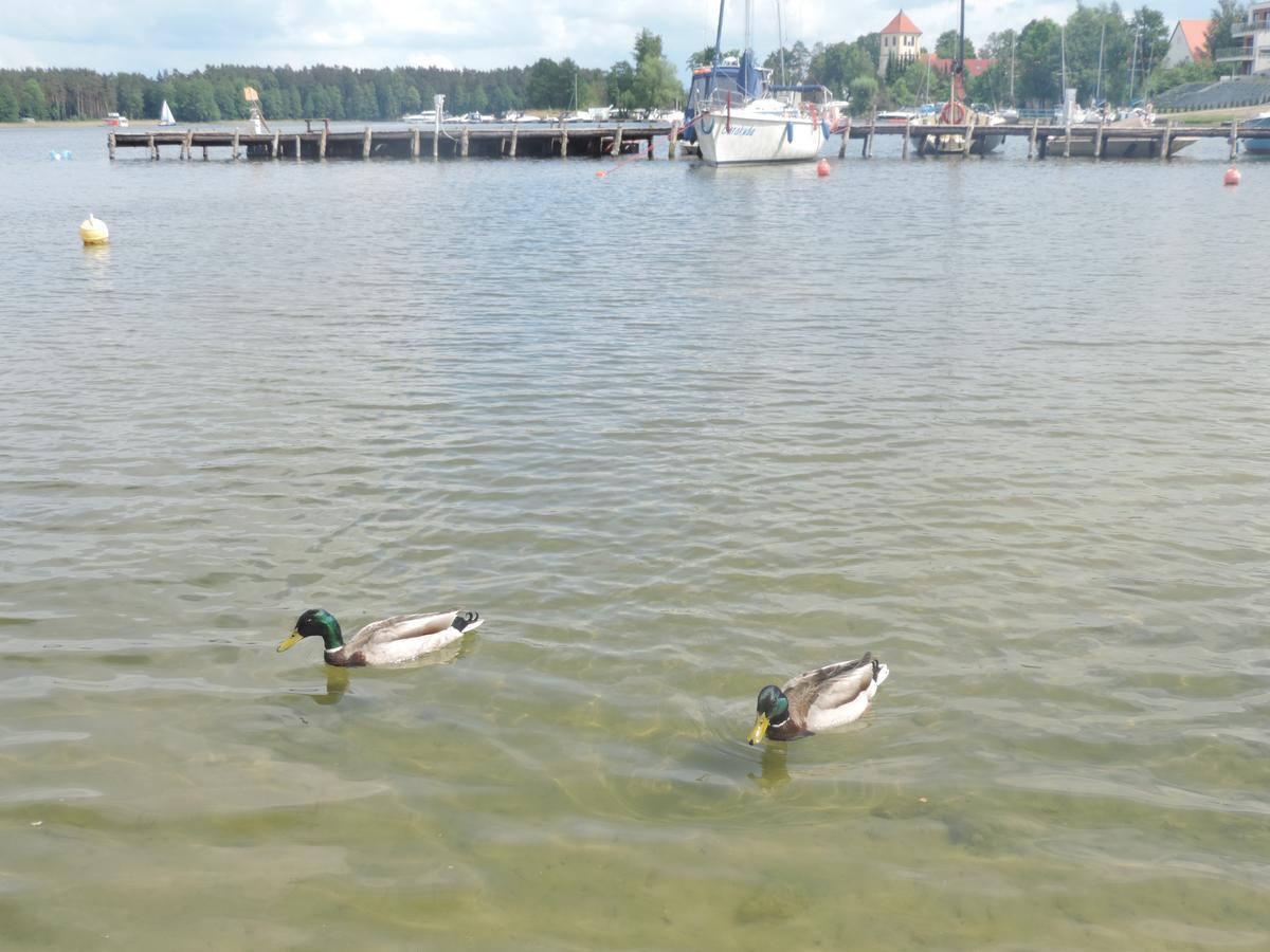 Mazurskie Wzgórze Rydzewo Exterior foto